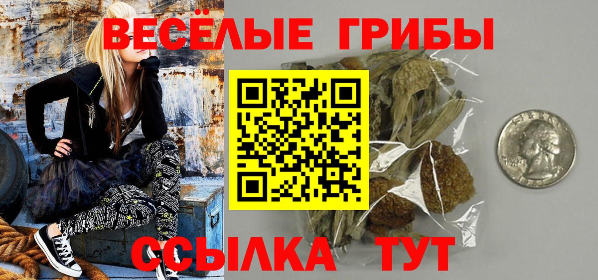 ГАШ  Лсд 25  Волхов  Вход с VPN  МАРИХУАНА  Меф кристаллы 