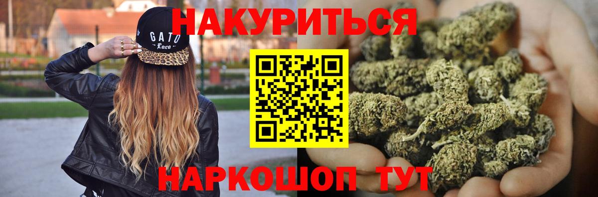 Шишки марихуана марихуана Волхов